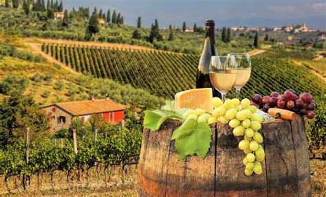 best wine tours in chianti italy