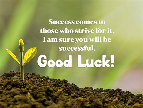 best wishes for success in life in english
