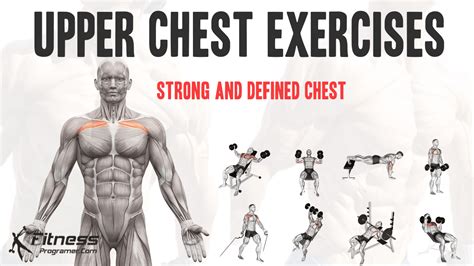 Best Workout For Defined Chest