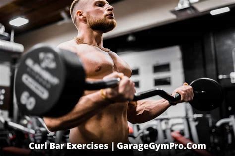 Best Workouts To Do With A Curl Bar