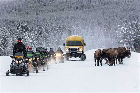 best yellowstone snowmobile tours