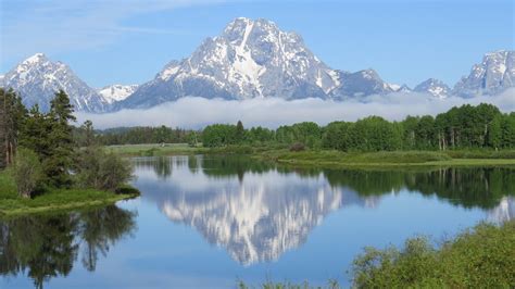best yellowstone tours from jackson hole