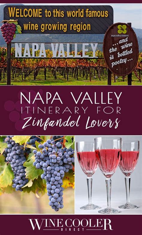 best zinfandels in napa valley