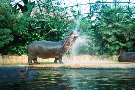 best zoos in the world ranked