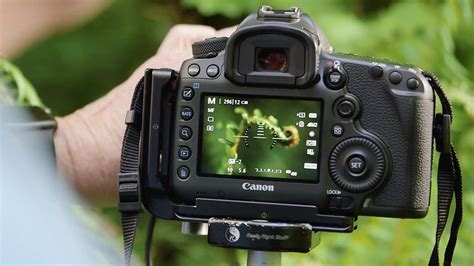 The Best Camera for Macro Photography The Ultimate Guide (2020)