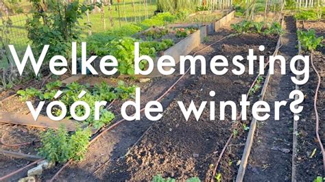 Beste Bemesting Moestuin