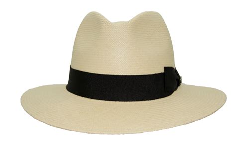 PanamaHut stockbild. Bild von sommer, gekurvt, traditionell 30134677