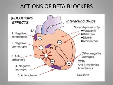 Beta Blockers In Heart Block