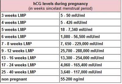 beta hcg numbers in pregnancy
