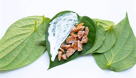Areca Nut, Betel Nut Chewed With The Leaf Stock Image