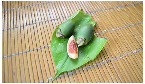 POLL Do you think chewing betel nut is bad for your health?