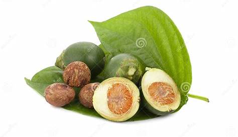 Betel Nut Leaf A Better Choice