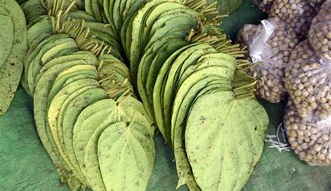 Betel Nut Leaves s And World Crops Database
