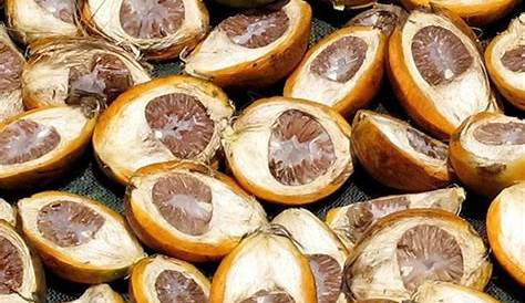 Betel Nut Uk Betal Dried Herb Areca HiHerb 50 Grams