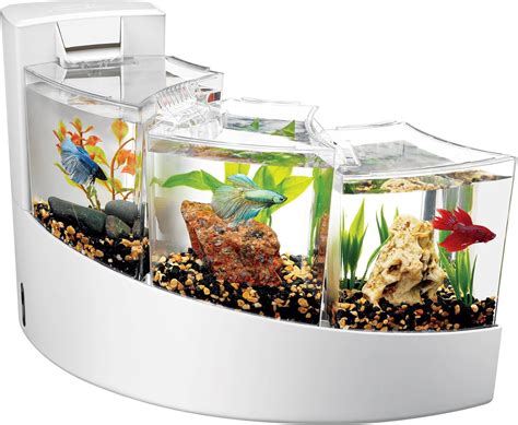 betta fish tank and accessories