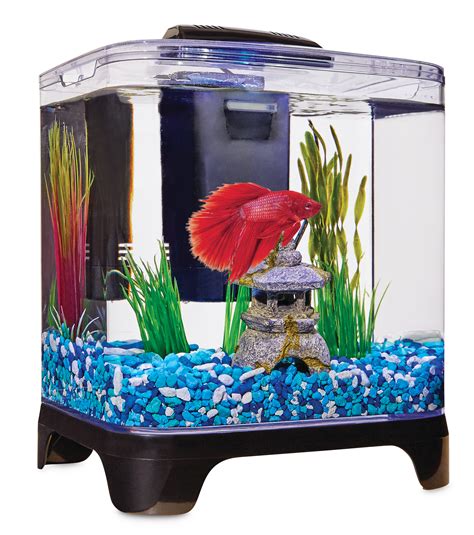 Betta Fish Tank with Filter Image