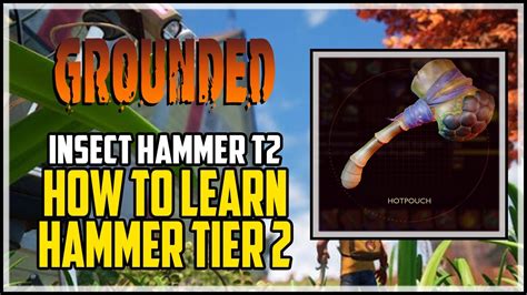 Better Hammer Grounded