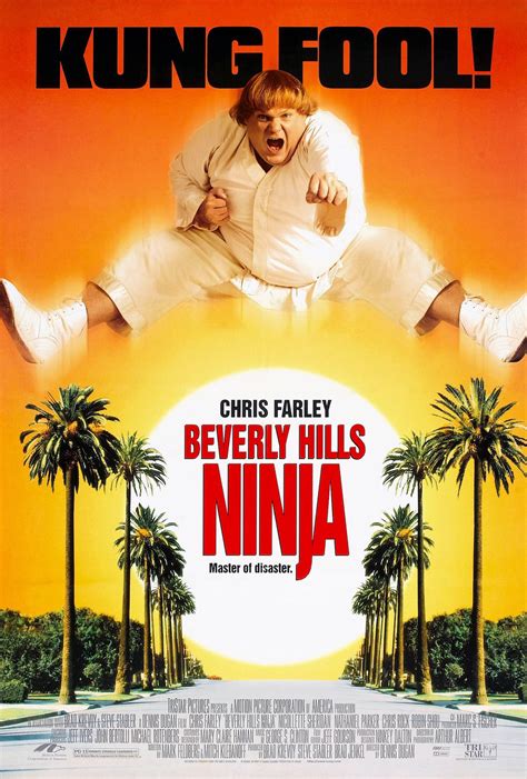 beverly hills ninja