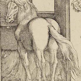 Secret Bewitched Groom Technique for Ultimate Looks