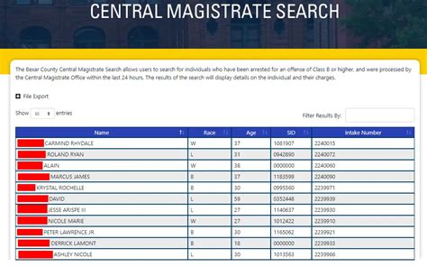 bexar magistrate search