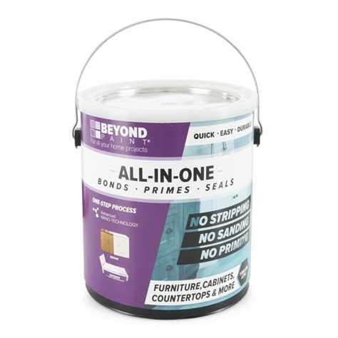 Beyond Paint At Walmart