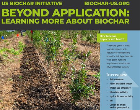 Beyond the Application