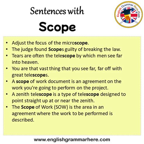 beyond the scope in a sentence