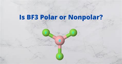 bf polar or nonpolar
