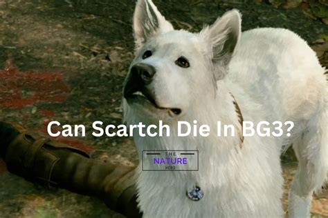 bg3 can scratch die