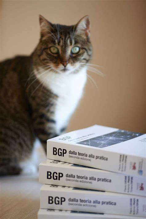 The Best Bgp Dalla Teoria Alla Pratica References