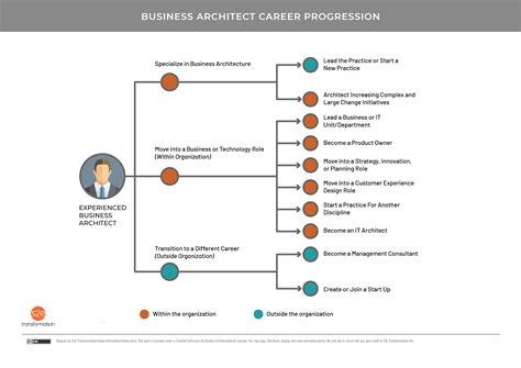 Bi Architect Career Path