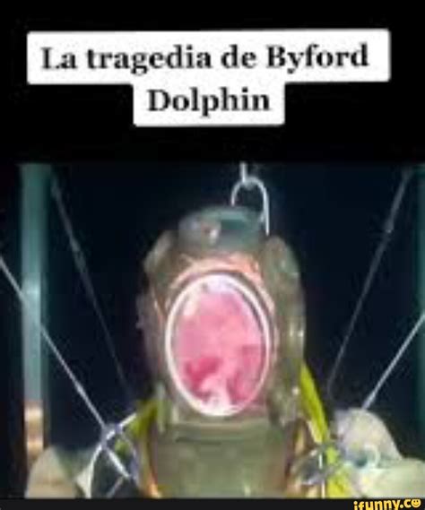 bi4 dolphin intsident