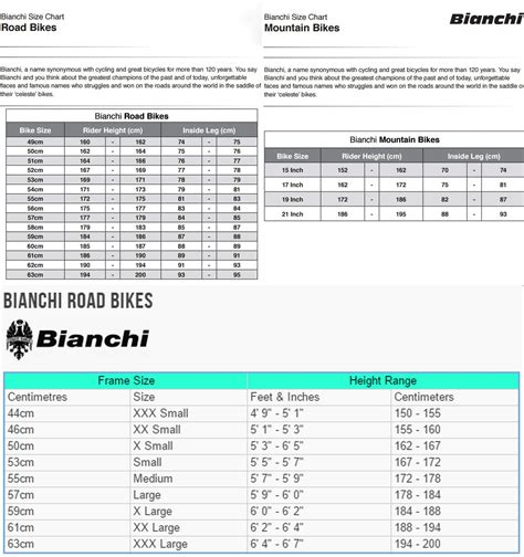 bianchi duty belt size chart