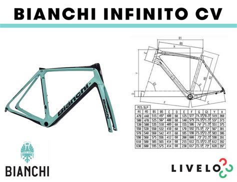 bianchi infinito cv geometry