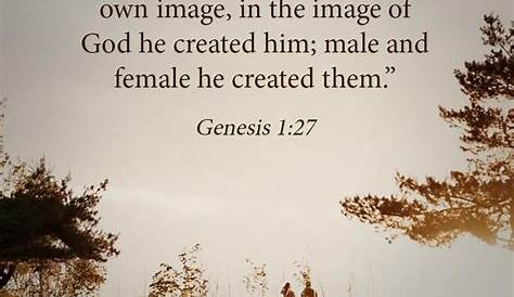 25 juli 2017 - Bijbeltekst van de dag - Genesis 1:28 - DailyVerses.net