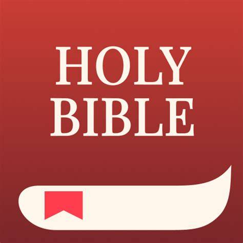 Bible App on Mobile