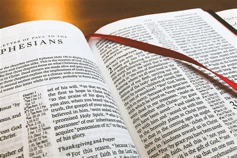 bible courses online