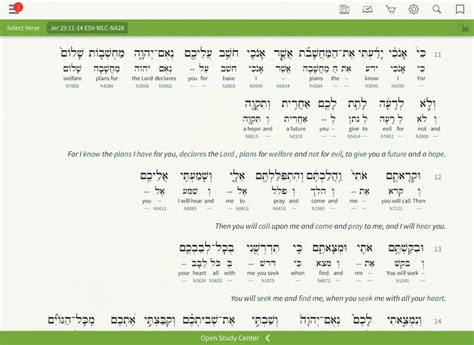 bible hub hebrew interlinear
