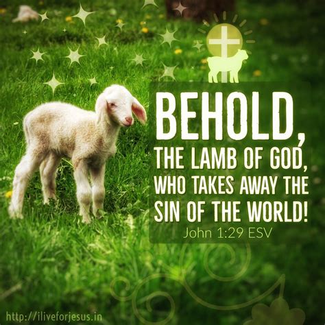bible verse lamb of god who takes