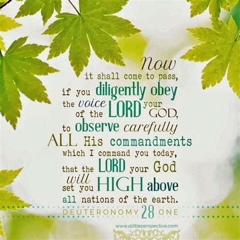 bible verses deuteronomy 28