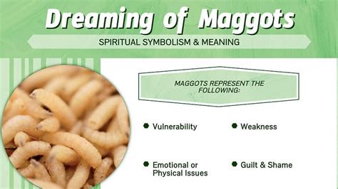 True Meaning And Right Interpretation Of Dreams Of Maggots