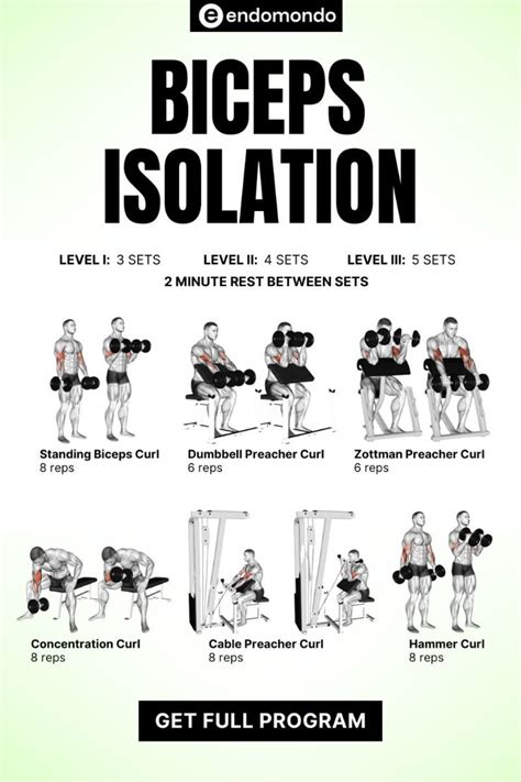 Bicep Compound Exercises Reddit