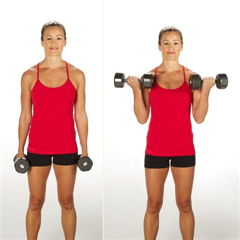 Bicep Curl Challenge