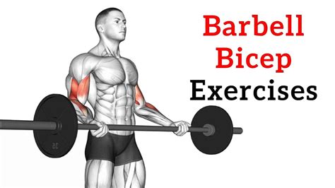 Bicep Exercises With Barbell