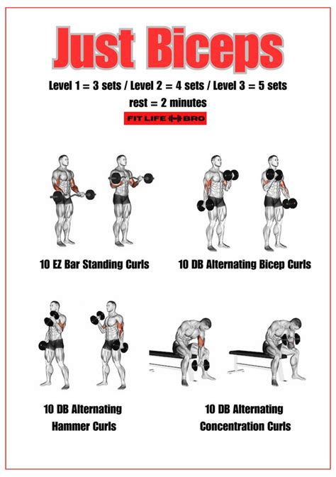 Bicep Exercises With Just Dumbbells