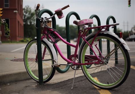 Turning a Cycling Passion into a Successful Business Sunflowers and