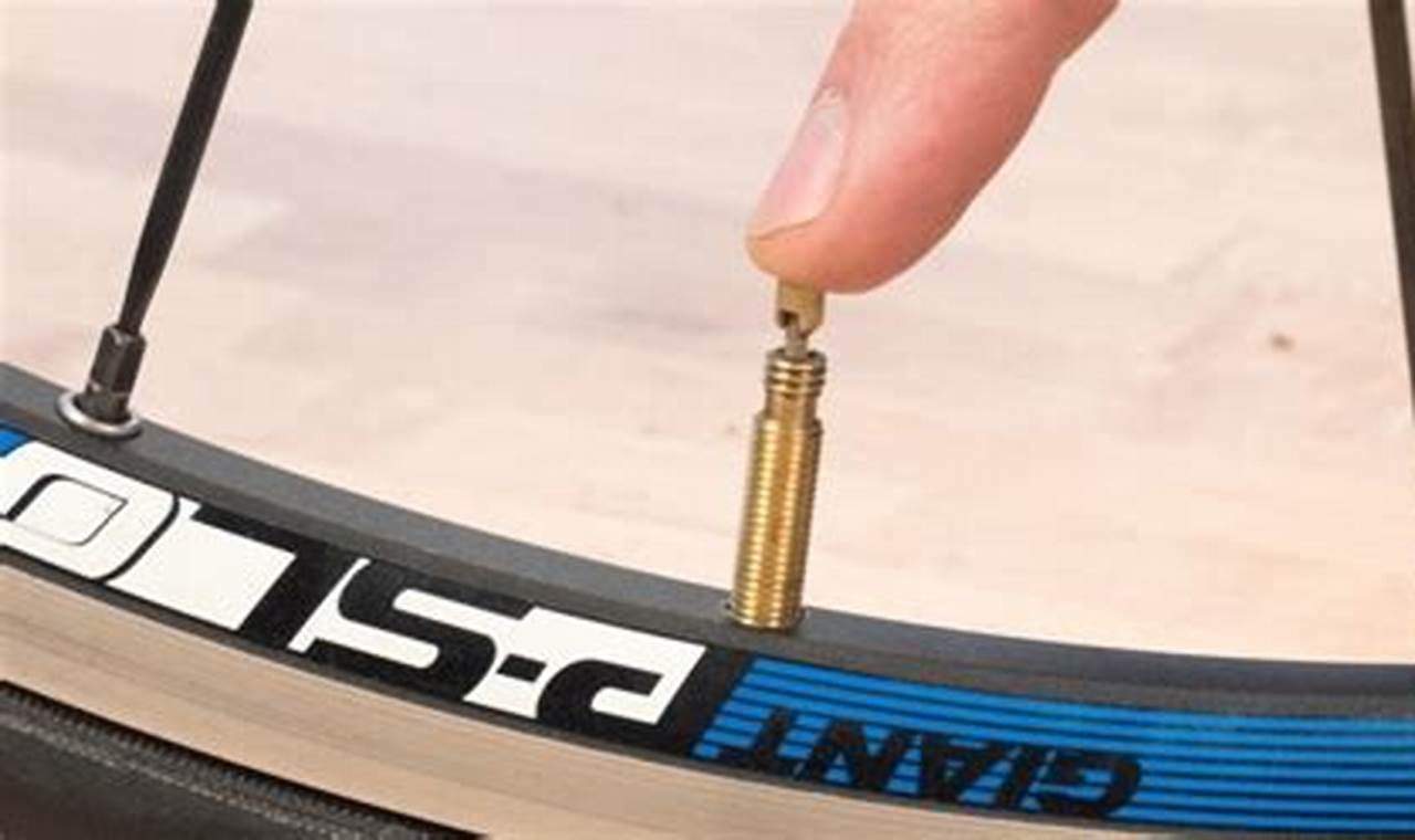 How to Select the Right Tire Valve Type for Your Bike: A Comprehensive Guide