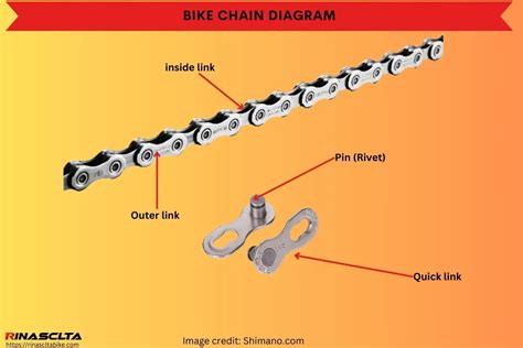 Bicycle Chain Sizes Explained