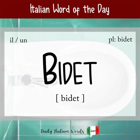 Bidet Etymology