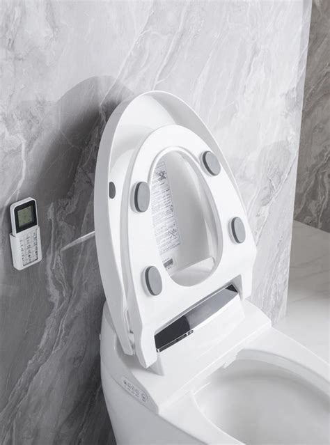Bidet Functions